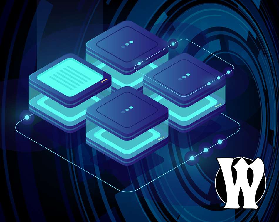 Business Networking & IT Support Services